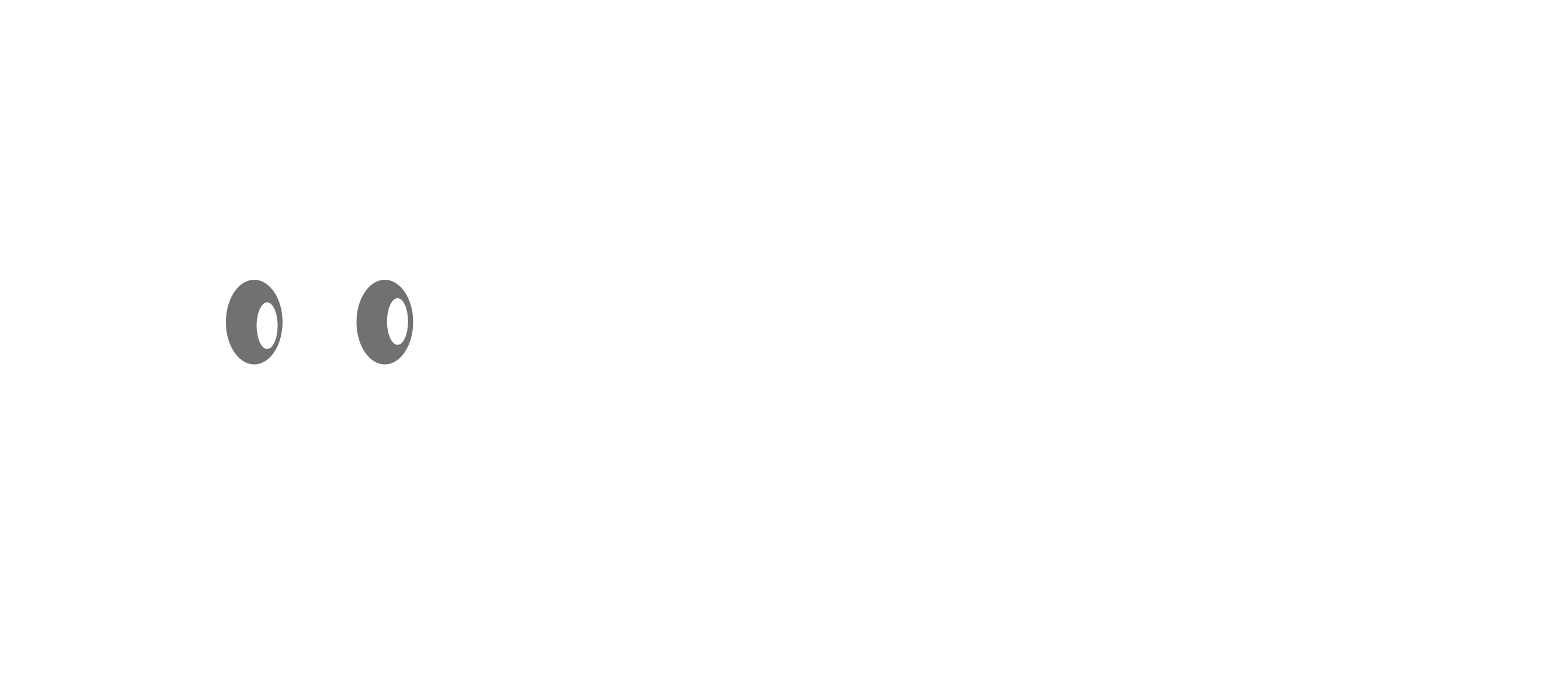 Elektro Schurl